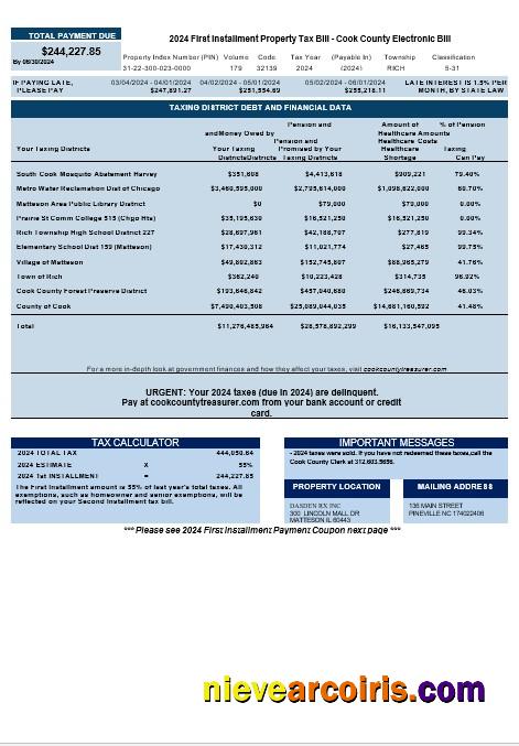 USA Cook Country Electronic Bill business utility bill